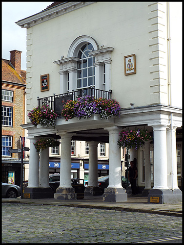 town hall blooms