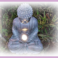 Lumière Zen au jardin avec PIP