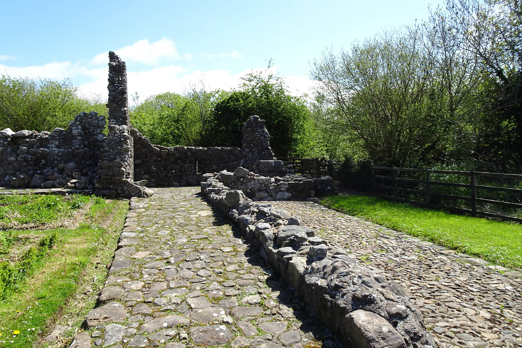 Ruins Of Tully Castle