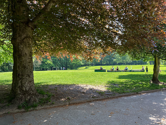 Miniature train in the park