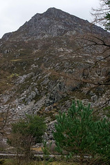 Welsh hillside