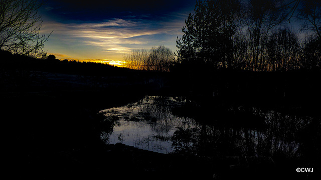 The darkness deepens - last sunset of 2019, over the pond.