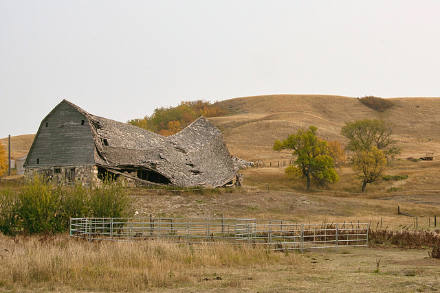 brokeback barn 1