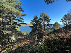 View across the Cromarty Firth to the North Soutar