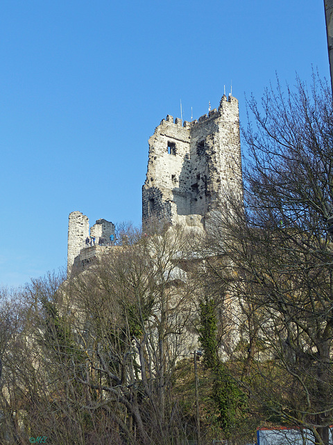 Burgruine Drachenfels