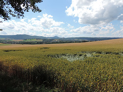 202/365 - Oberlausitz bei Großschönau