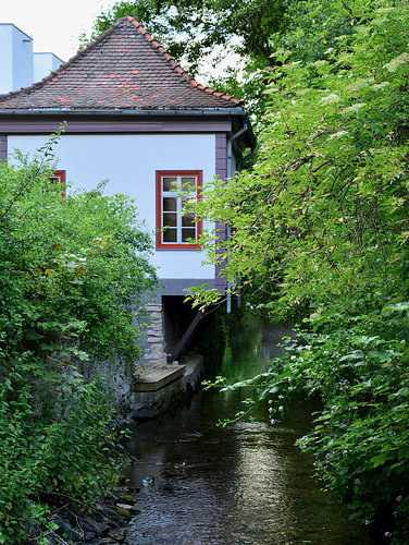 Erfurt 2017 – House over the river