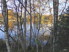 The Lake The Altyre Estate