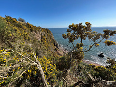 View looking out over the Moray Firth from the cliff path leading down to McFarquhar's Cave