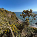 View looking out over the Moray Firth from the cliff path leading down to McFarquhar's Cave