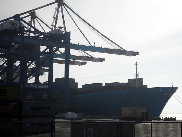 Elly Maersk in Bremerhaven