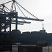 Elly Maersk in Bremerhaven
