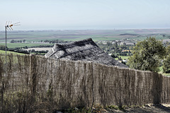 Thatch – Adjacent to Hotel Sindhura, Vejer de la Frontera, Cádiz Province, Andalucía, Spain Thatch – Adjacent to Hotel Sindhura, Vejer de la Frontera, Cádiz Province, Andalucía, Spain