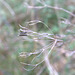 DSC06853 (2) 1