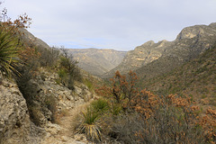 McKittrick Canyon