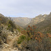 McKittrick Canyon