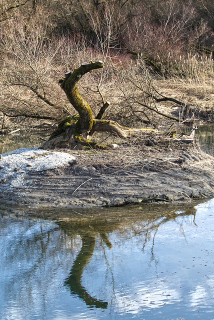 Ungeheuer an der Isar