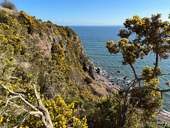 View looking out over the Moray Firth from the cliff path leading down to McFarquhar's Cave