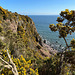 View looking out over the Moray Firth from the cliff path leading down to McFarquhar's Cave