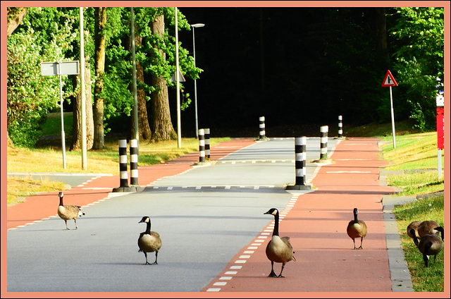 Oncoming traffic