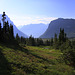 Hidden Lake Trail