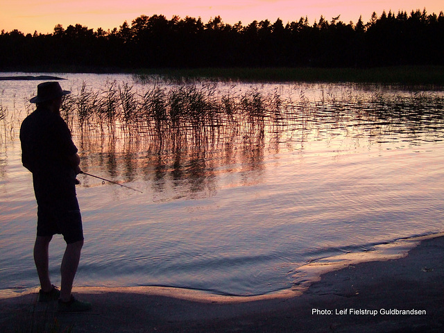 The lonesome angler