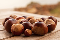 Conkers