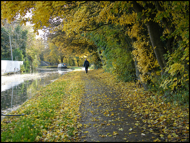 autumn canal walk