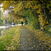 autumn canal walk