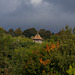 Laneside Farm In Autumn colours