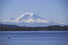 Mt. Ranier in the morning