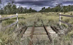 tracks