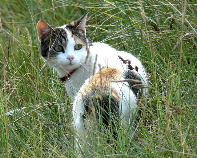 Someone following me? Someone following me?