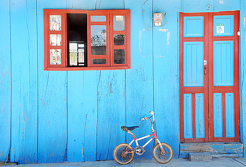 The little dweller of the blue house.