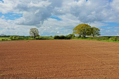 Gnosall skyline