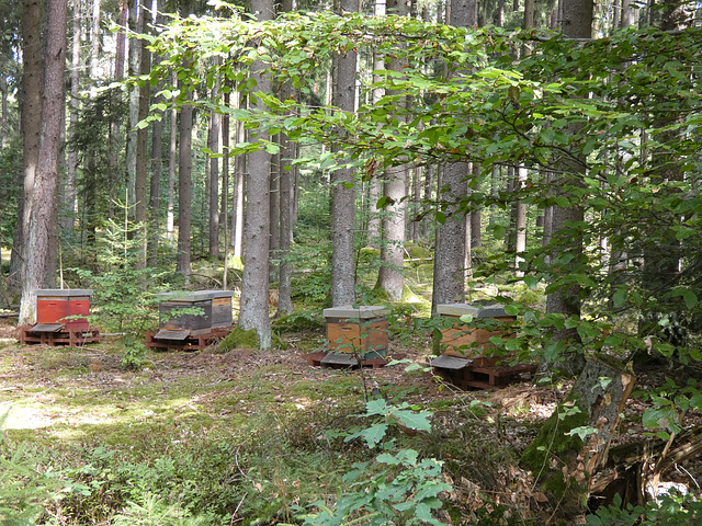 Bienenstöcke Bienenstöcke