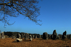 Un champ de cailloux à Carnac .