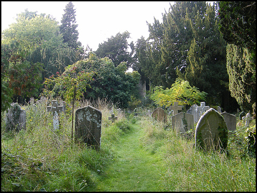 path through the graves
