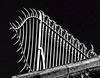 Fence-Gaudi
