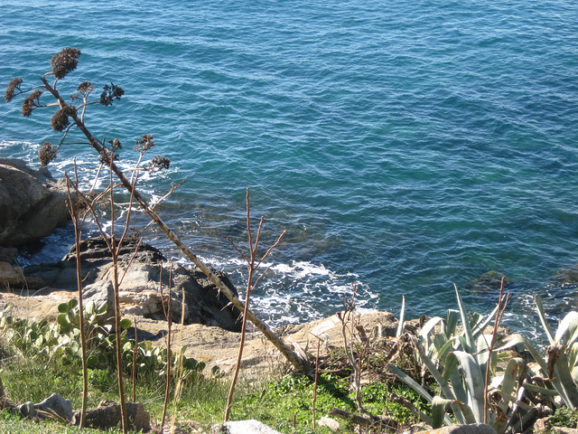 Küstenwanderweg Roses/Costa Brava