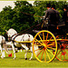 Stade Equestre - Carrefour Royal - 60200 Compiègne