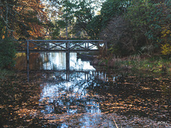 The Lake, Altyre Estate