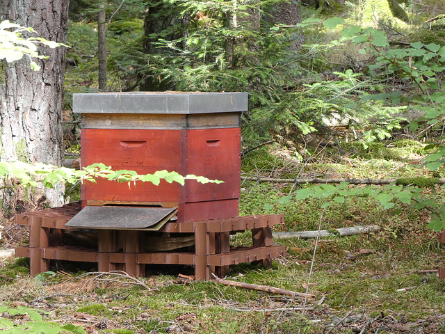 Bienenstock am Schwarzerberg