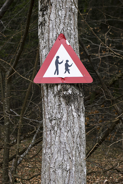 Achtung - Handybenutzer unterwegs