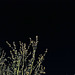 Penedos, Night and Darkness