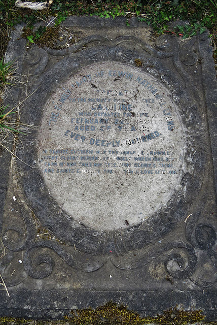 putney vale cemetery, london