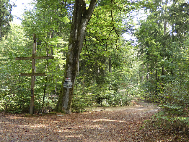 Dreikreuz erreicht