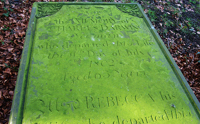 Memorial to Charles and Rebecca Darwin, Wentworth Old Church, South Yorkshire