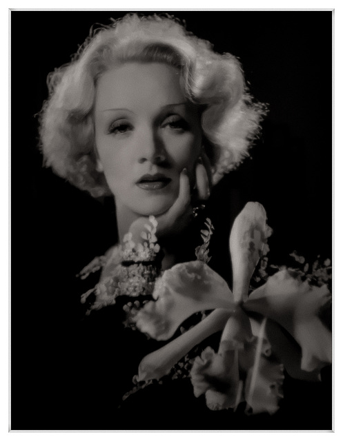 Marlène DIETRICH