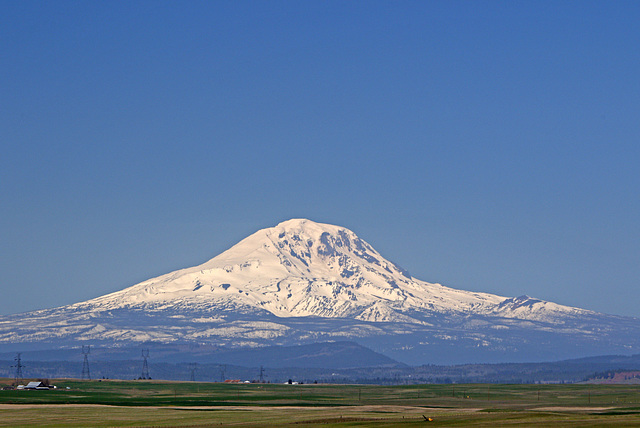 Mount Adams from State Route 97